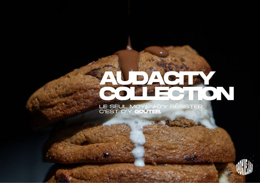 AUDACITY 2.0